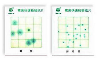 霉菌、酵母菌测试片