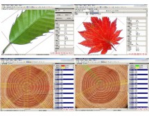 LA-S植物图像分析仪系统（年轮、叶分析组合版）