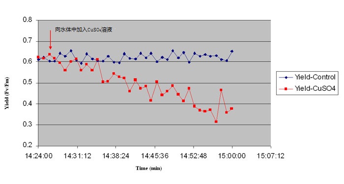 Solinst PhytoFlash 水下活性荧光仪